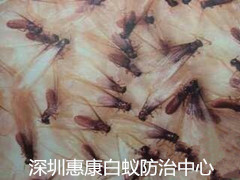 wM(jn)(li)x(chng)ӣρwôk