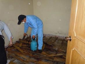 深圳房屋白蟻滅治方法: